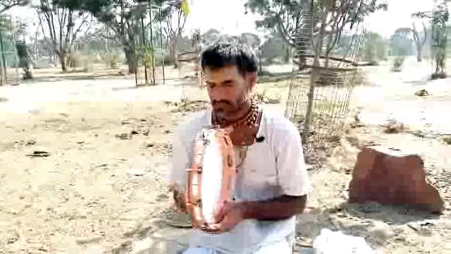 बृज संतों की अनोखी भक्ति: मीराबाई सूरदास जी के पदों का गायन