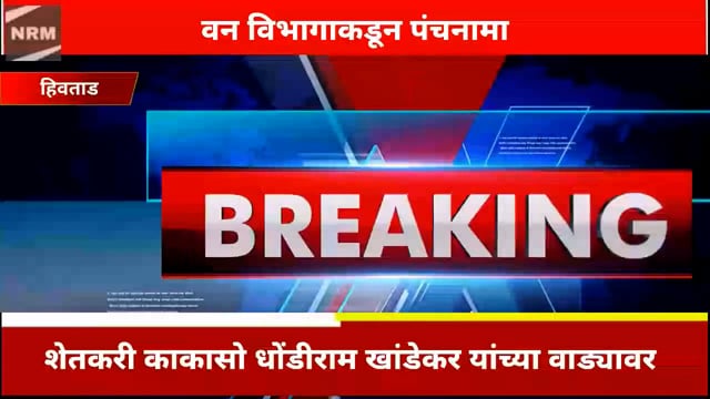 हिवताड मध्ये शेळ्या मेंढ्याच्या वाड्यावर लांडग्यांचा हल्ला सहा जनावरे फस्त 60 हजार रूपयाचे शेतकऱ्याचे नुकसान


