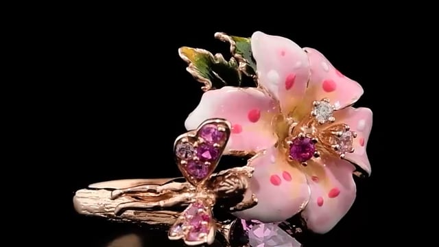  Video Photo 