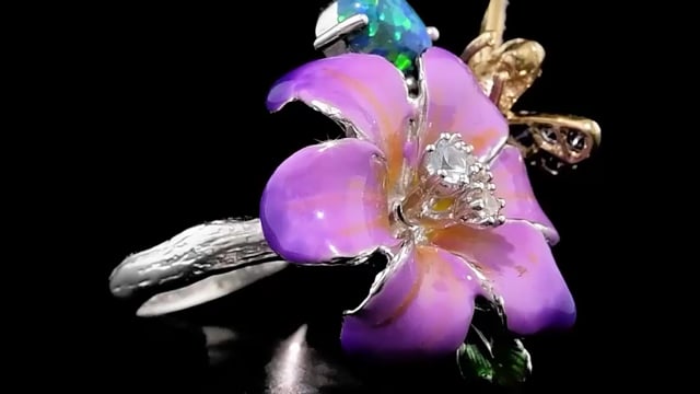  Video Photo 