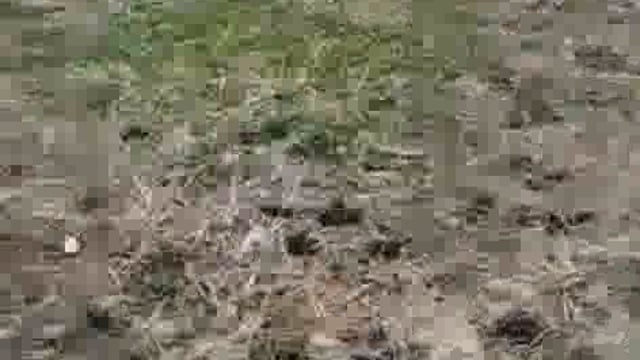 हर घर नल योजना के बाउंड्री वाल निर्माण में घटिया सामग्री का उपयोग
उपजिलाधिकारी लालगंज ने दिये जाँच के आदेश