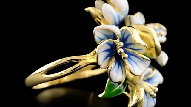 Video Photo 