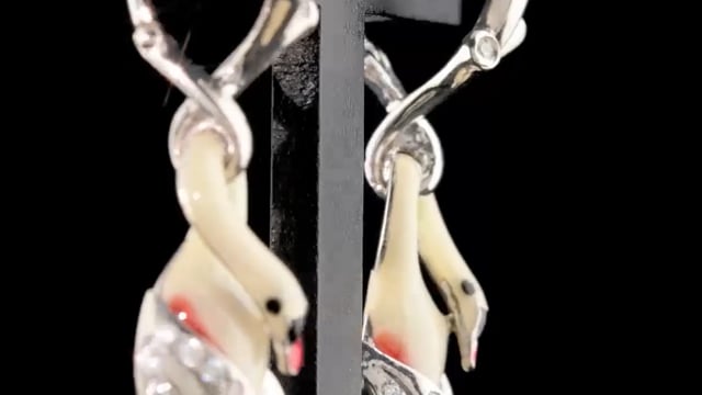  Video Photo 