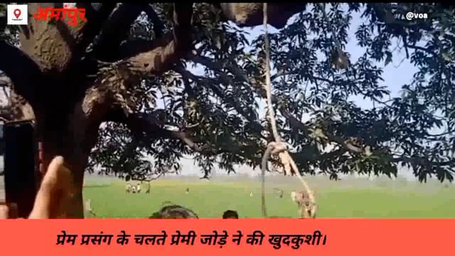 अमांपुर कोतवाली क्षेत्र के गांव अर्जुनपुर कदीम में प्रेम प्रसंग के चलते प्रेमी जोड़े ने की खुदकुशी।