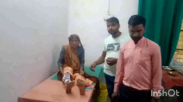 गांव जसौली अड्डा में महिला को पागल कुत्ते ने किया लोहू लुहान परिजन सीएससी माट लेकर पहुंचे