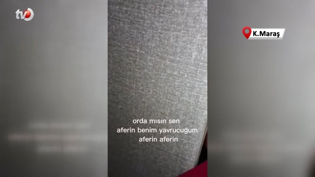 Artçı Sarsıntılar Arasında 7. Katta Mahsur Kalan Kediyi Kurtardı