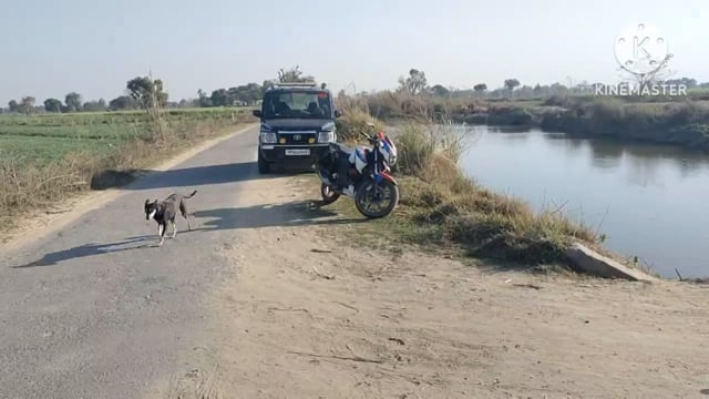 मांट ब्रांच गंग नहर में मिला 30 वर्षीया महिला का शव, नहीं हो पाई शिनाख्त
