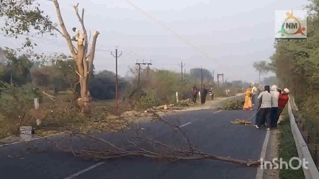 वृंदावन राया एक्सप्रेस-वे कट रोड के चौड़ीकरण होने को पेड़ काटने का चलता कार्य।