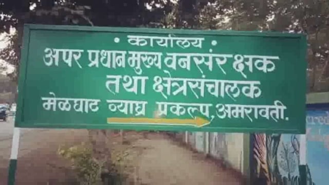 हल्लेखोर बिबट्या' पिंजऱ्यापर्यंत आला नि गेला