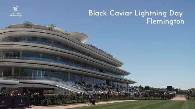 Black Caviar Lightning Race Day