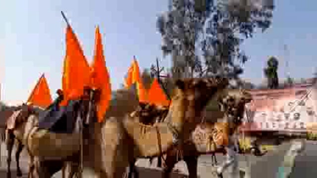 शहरात भव्य रॅलीने छत्रपती शिवाजी महाराज यांची जयंती साजरी