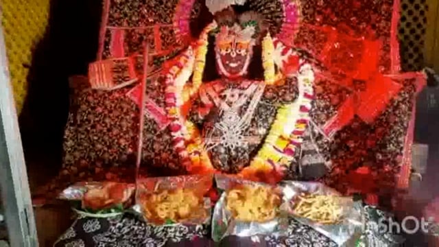 राधा रानी परिक्रमा मार्ग में फाग समाज गायन का ब्रज में बरसता है रस भक्त हो रही है सराबोर