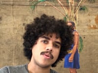 Felipe Rezende - O último buritizeiro