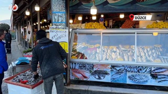 Havalar Isındı, Balık Fiyatları Düştü