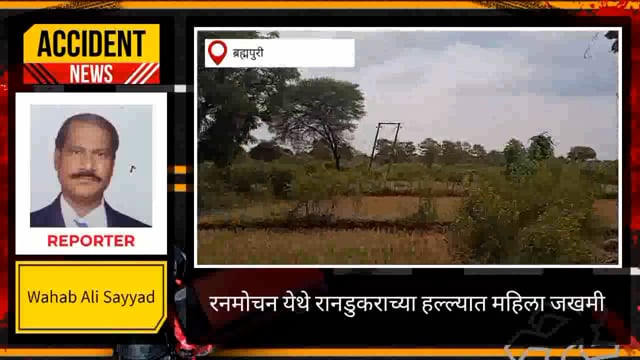 रणमोचन खरकाळा येथे रानडुकराच्या हल्ल्यात शेतकरी महिला गंभीर जखमी. 