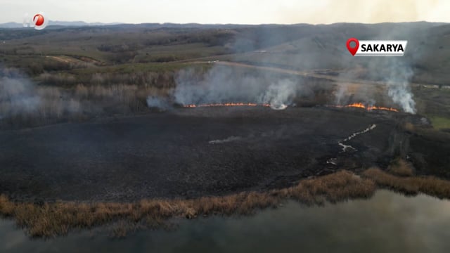 Ağaçlık Alanda Yangın Çıktı, 100 Dönümlük Arazi Kül Oldu