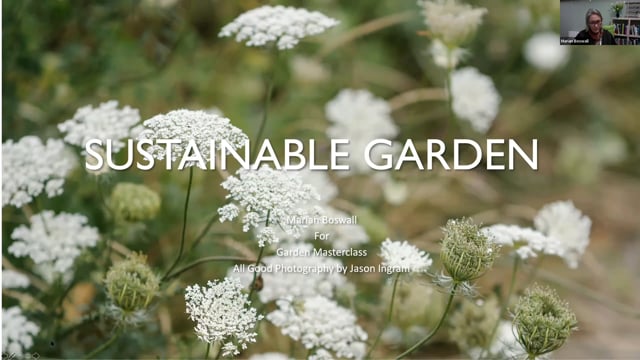 Marian Boswall – Sustainable Garden