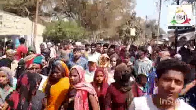 रंगभरनी एकादशी पर्व पर लाखों परिक्रमार्थी भक्तों ने की वृंदावन की पंचकोसीय परिक्रमा खूब उड़ा अबीर गुलाल।