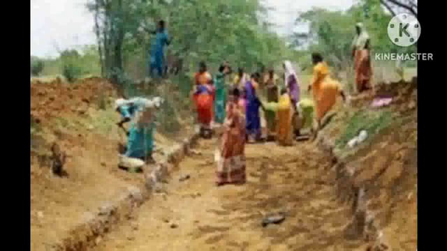 मनरेगा में बिना काम किए राशि निकासीमामले में बांका डीएम द्वारा बड़ीकार्रवाई करते हुए कटोरिया के पीओ को कियागया चयन मुक्त