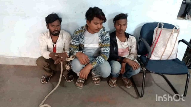 सूरजगढ़ा-कजरा थाना पुलिस के द्वारा तीन शराबी को शराब के साथ गिरफ्तार किया गया है 