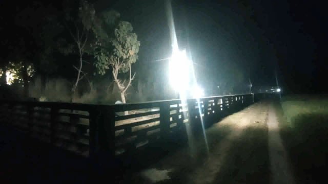 जिले में शांतिपूर्वक संपन्न हुआ सबे बारात का पर्व