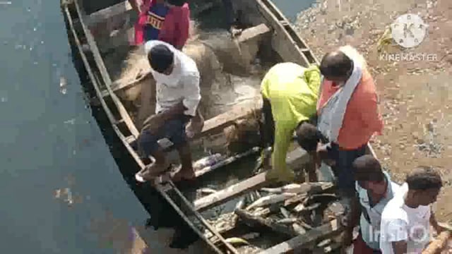 सूरजगढ़ा -गोदरी पुल नदी में जहर डालने से मछली व्यवसाई को लाखों का हुआ नुकसान