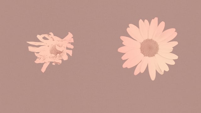 DAYS by Geneviève Dulude-De Celles - Official trailer