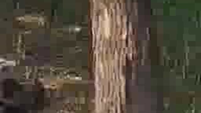 दबंगो ने घर चढ़कर मचाया उत्पात, किया लूटपाट
परिवार भीगी बिल्ली माफित घर के कोने में दुबका
थाना मानिकपुर कुसाहिलडीह