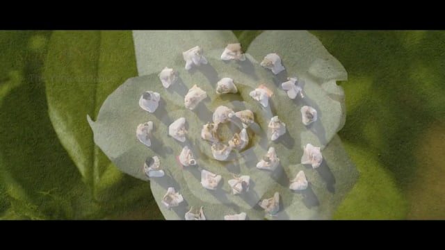 Shakti Dance Akademy