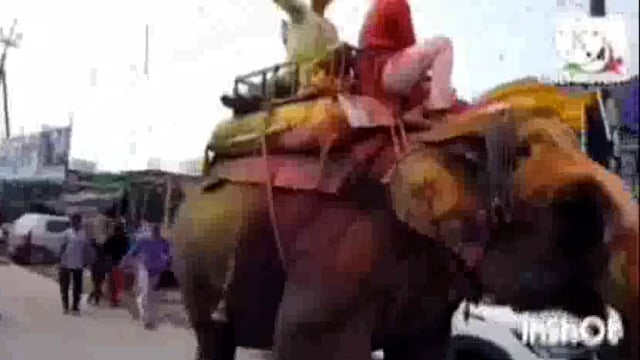 ब्रह्मोत्सव मेला के छठवें दिन भगवान रंगनाथ जी ने कांच के विमान में दिए दर्शन, भक्तों संग रंग गुलाल से खेली होली।