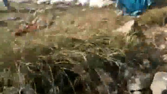 बुखारिया कोल के समीप तिलैया नदी में करंट की चपेट में आने से एक भैंस की हुई मौत