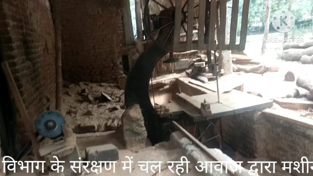 वन विभाग के संरक्षण में चल रही अवैध आरा मशीन उच्च अधिकारी बने मूकदर्शक,