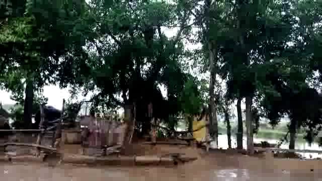 बेमौसम कड़की बिजली, गरजे बादल, बरसे मेघा: किसान बर्बादी के कगार पर 