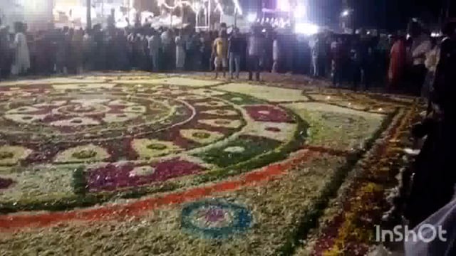 रंगजी मंदिर से भगवान बिष्णु और माता लक्ष्मी जी पुष्पक विमान में सवार होकर भ्रमण को निकले ग्रामीणों ने किए दर्शन