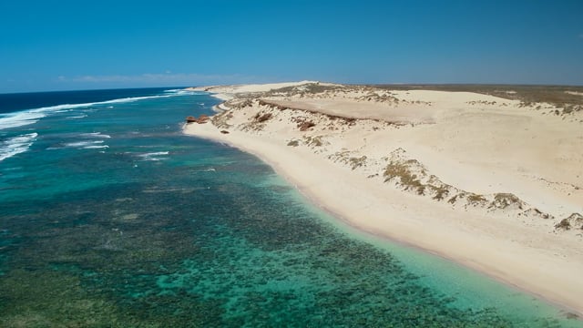 Ningaloo Nyinggulu Sizzle