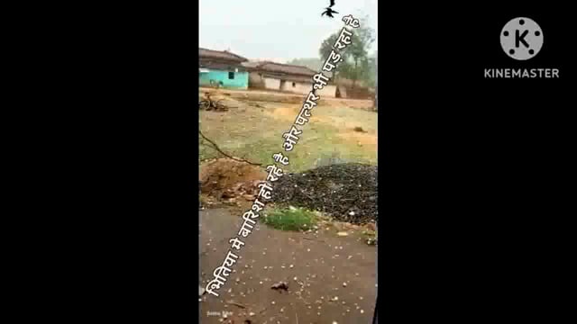 अचानक बारिश एवं ओले पड़ने से गेहूं सहित अन्य रवी फसल की हुई आंशिक क्षति