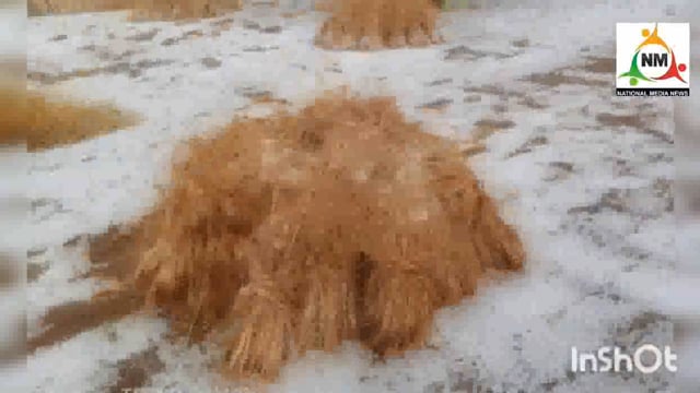 मांट क्षेत्र में सोमवार को किसानों के ऊपर कहर बनकर टूटे ओलें और बारिश।