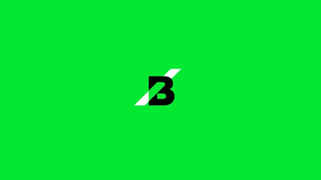 Project video preview