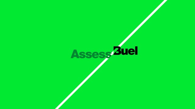 Project animation preview