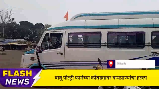 सिंदेवाही लोनवाही येथील पोल्ट्री फार्मच्या कोंबड्यावर वन्यप्राण्यांचा हल्ला,त्यात 375 कोंबड्याचा मृत्यू. 