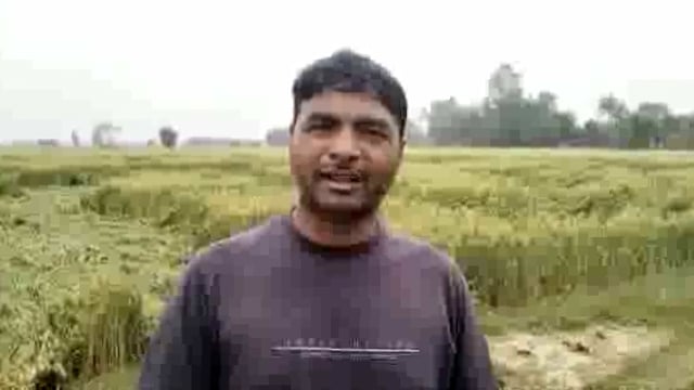 जिले में दो दिन से रुक-रुक कर हो रही बारिश से किसानों की फसलों का हुआ भारी नुकसान सरकार से मदद की लगा रहे गुहार