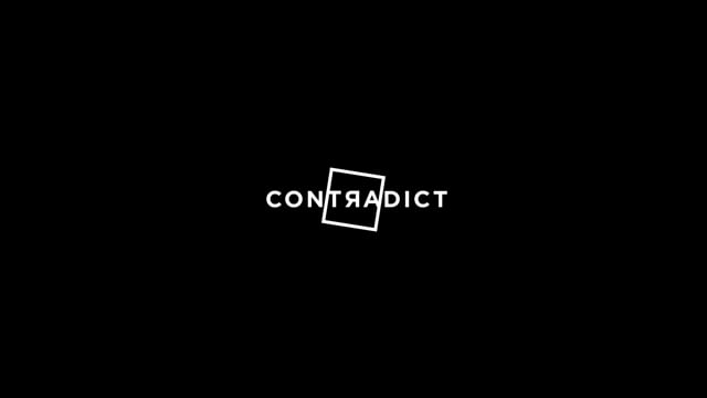 Project animation preview
