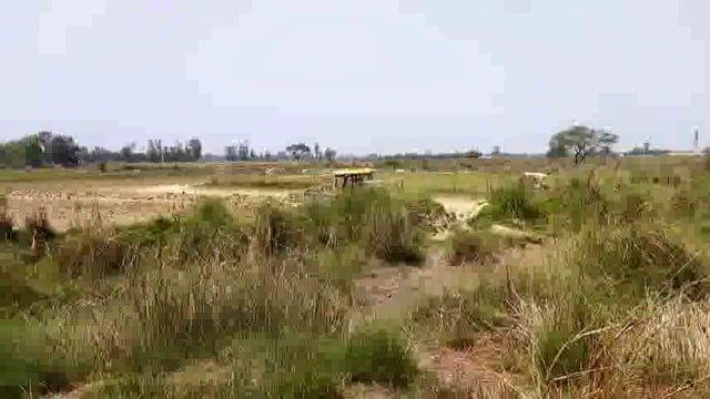 गरज रही जेसीबी बिना परमीशन, अवैध मिट्टी खनन धड़ल्ले से हो रहा, 
ईंट भट्ठा मालिकों के इशारे पर अवैध खनन
