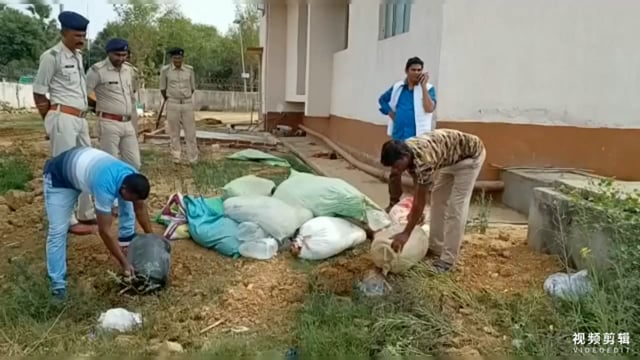 न्यायालय के निर्देश पर सिरदला प्रखंड के परना डाबर थाना में 620 लीटर महुआ शराब का किया गया वीनिस्टीकरण