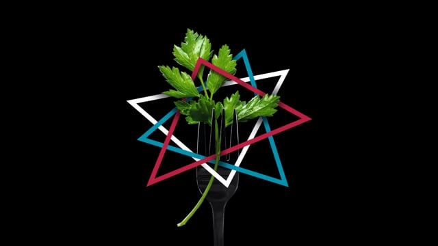 Project animation preview