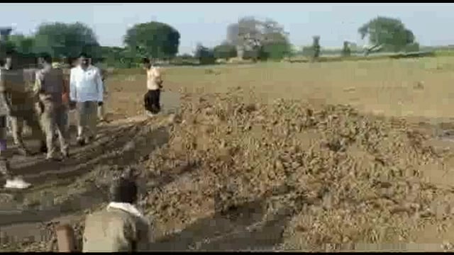 गड़रिया में कतरी हुई मटर की फसल में थ्रेसर की चिंगारी से 5 बीघा की फसल जलकर खाक,मौके पर पहुंची पुलिस तथा फायर ब्रिगेड