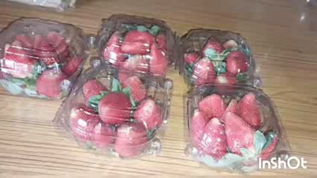 तुरकौलिया का किसान खेती कर हो रहा है मालामाल।