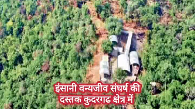 कुदरगढ क्षेत्र में बाघ की दस्तक एक की मौत दो गंभीर रूप से घायल
#breaking
#Surajpur
#chhattisgarh 