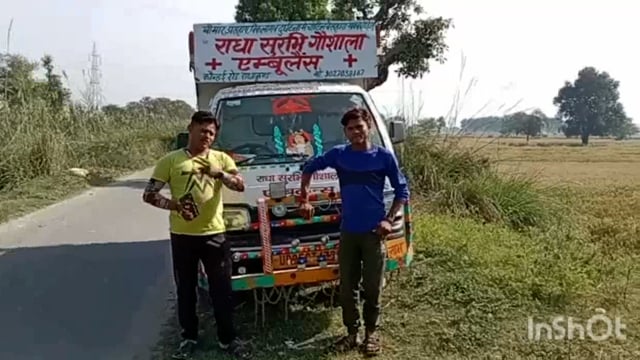 घायल गाय को एंबुलेंस द्वारा सुरभि गौशाला भिजवाया गया