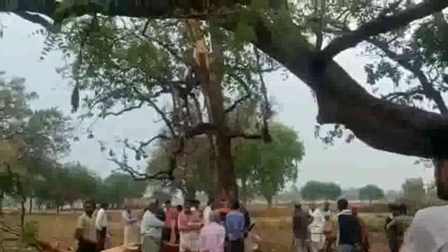 आकाशीय बिजली की चपेट में आने से दो बच्चे गम्भीर झुलसे, जिला अस्पताल रेफर, महुआ बिन रहे थे बच्चे, महुआ के पेड़ पर गिरी 